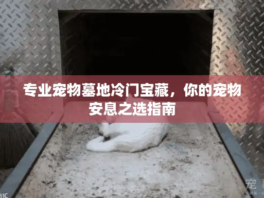 专业宠物墓地冷门宝藏，你的宠物安息之选指南