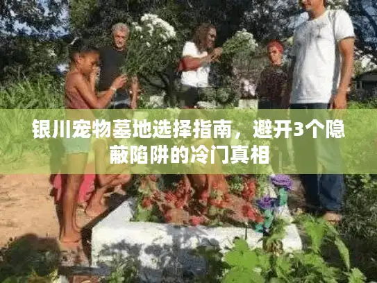 银川宠物墓地选择指南，避开3个隐蔽陷阱的冷门真相