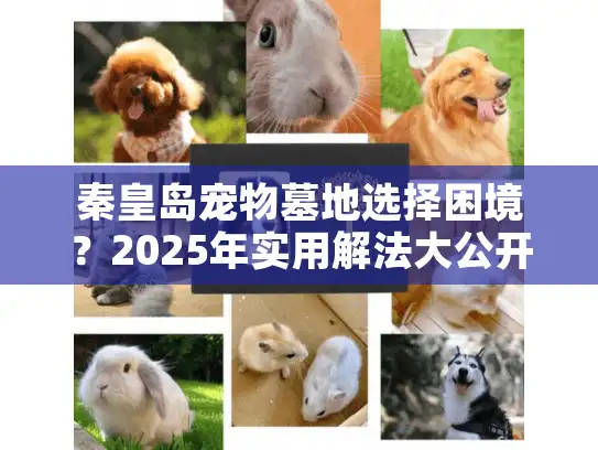 秦皇岛宠物墓地选择困境？2025年实用解法大公开