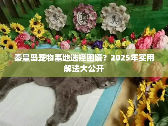 秦皇岛宠物墓地选择困境？2025年实用解法大公开