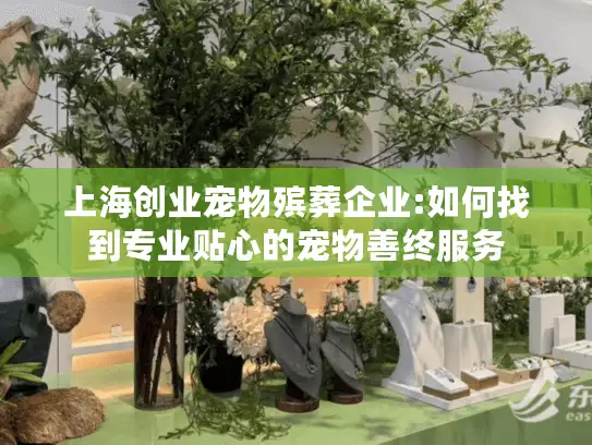 上海创业宠物殡葬企业:如何找到专业贴心的宠物善终服务