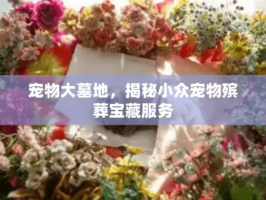 宠物大墓地，揭秘小众宠物殡葬宝藏服务