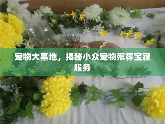 宠物大墓地，揭秘小众宠物殡葬宝藏服务