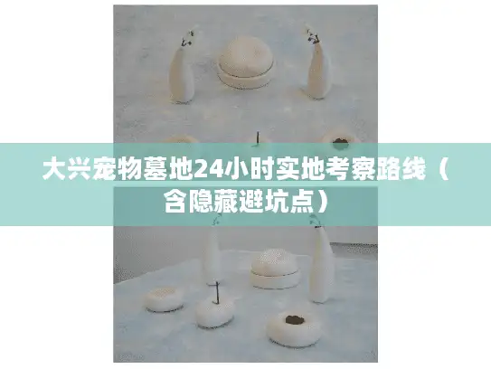 大兴宠物墓地24小时实地考察路线（含隐藏避坑点）