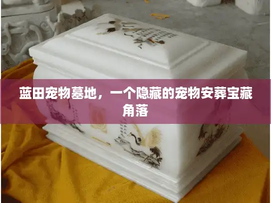 蓝田宠物墓地，一个隐藏的宠物安葬宝藏角落