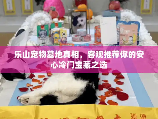 乐山宠物墓地真相，客观推荐你的安心冷门宝藏之选