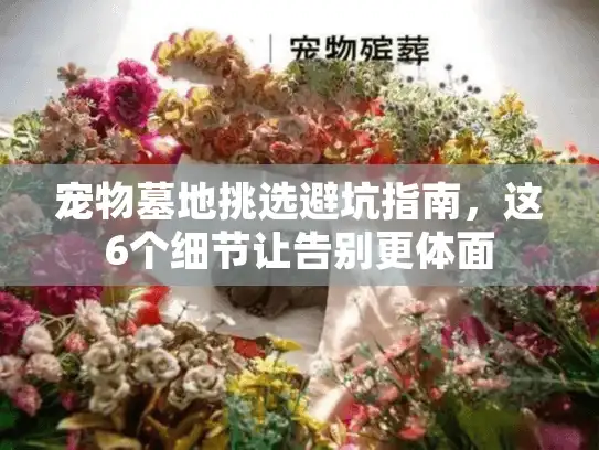 宠物墓地挑选避坑指南，这6个细节让告别更体面