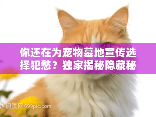 你还在为宠物墓地宣传选择犯愁？独家揭秘隐藏秘籍