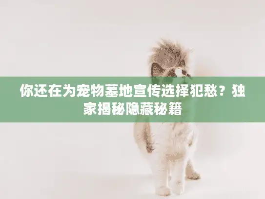 你还在为宠物墓地宣传选择犯愁？独家揭秘隐藏秘籍