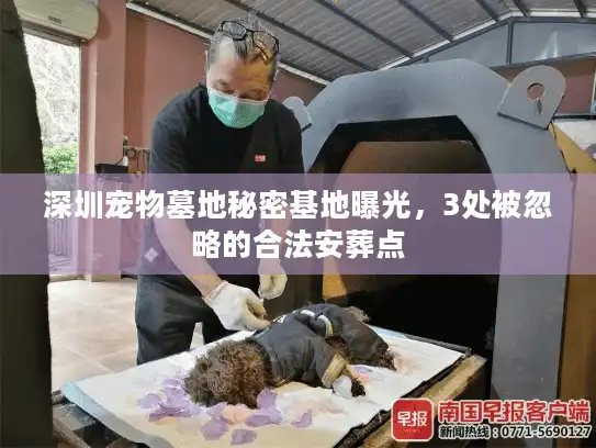 深圳宠物墓地秘密基地曝光，3处被忽略的合法安葬点