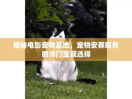 揭秘电影宠物墓地，宠物安葬服务的冷门宝藏选择