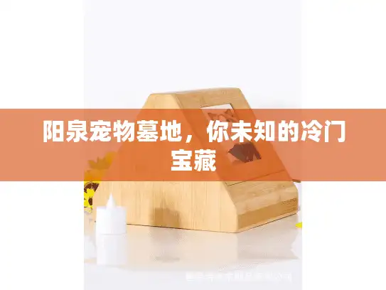阳泉宠物墓地，你未知的冷门宝藏