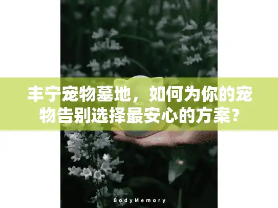 丰宁宠物墓地，如何为你的宠物告别选择最安心的方案？