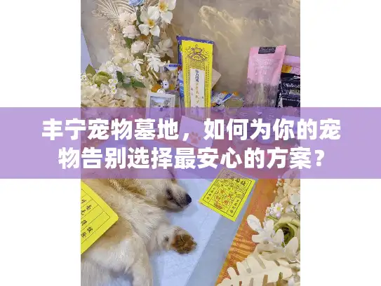 丰宁宠物墓地，如何为你的宠物告别选择最安心的方案？
