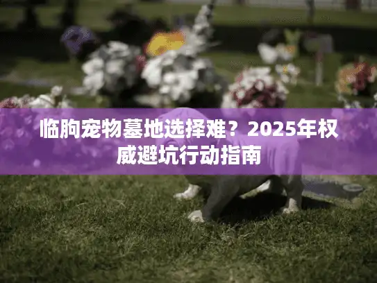 临朐宠物墓地选择难？2025年权威避坑行动指南