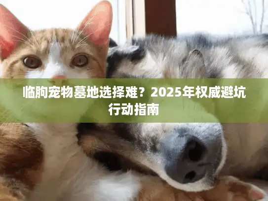 临朐宠物墓地选择难？2025年权威避坑行动指南