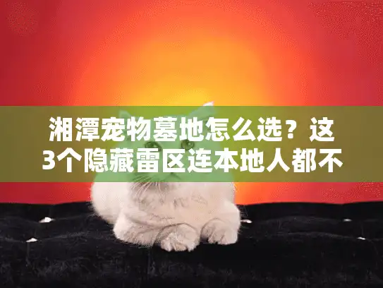 湘潭宠物墓地怎么选？这3个隐藏雷区连本地人都不知道