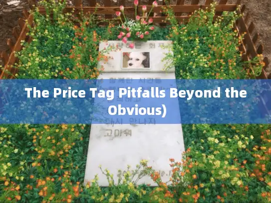 The Price Tag Pitfalls Beyond the Obvious)