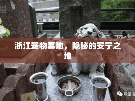 浙江宠物墓地，隐秘的安宁之地