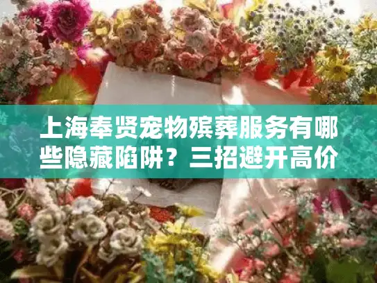 上海奉贤宠物殡葬服务有哪些隐藏陷阱？三招避开高价低质