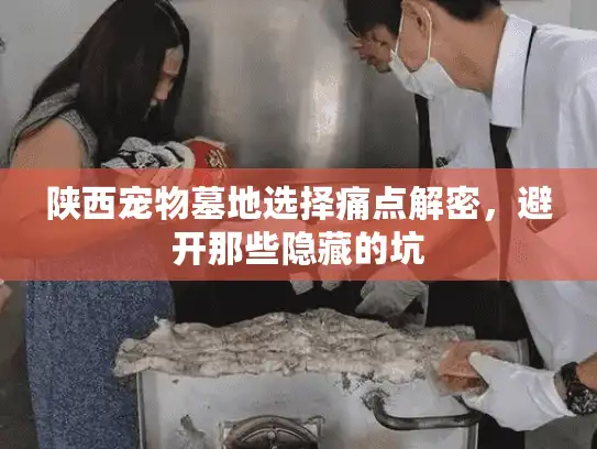 陕西宠物墓地选择痛点解密，避开那些隐藏的坑
