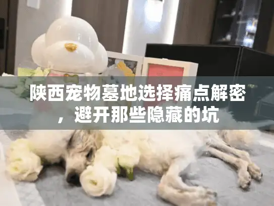 陕西宠物墓地选择痛点解密，避开那些隐藏的坑