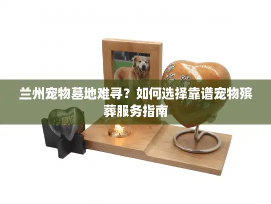 兰州宠物墓地难寻？如何选择靠谱宠物殡葬服务指南