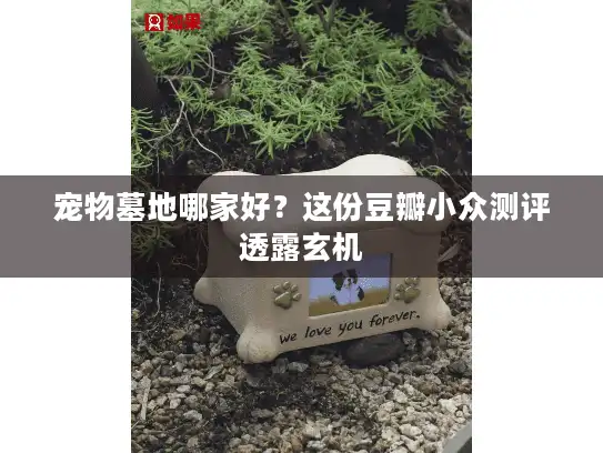 宠物墓地哪家好？这份豆瓣小众测评透露玄机