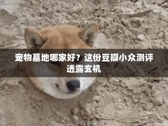 宠物墓地哪家好？这份豆瓣小众测评透露玄机