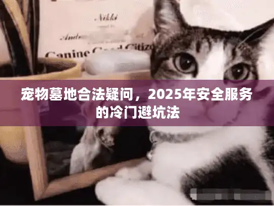 宠物墓地合法疑问，2025年安全服务的冷门避坑法