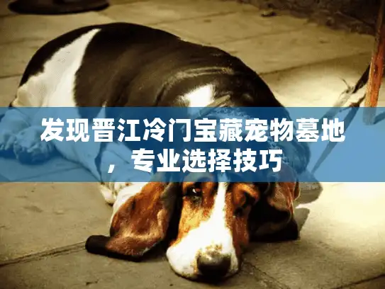 发现晋江冷门宝藏宠物墓地，专业选择技巧