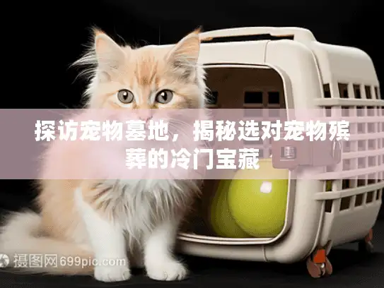 探访宠物墓地，揭秘选对宠物殡葬的冷门宝藏