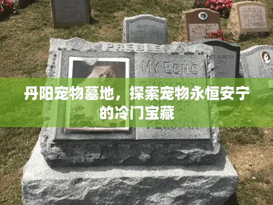 丹阳宠物墓地，探索宠物永恒安宁的冷门宝藏