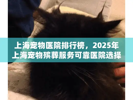 上海宠物医院排行榜，2025年上海宠物殡葬服务可靠医院选择指南