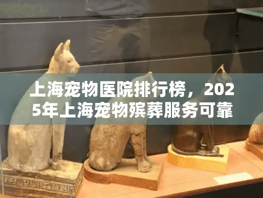 上海宠物医院排行榜，2025年上海宠物殡葬服务可靠医院选择指南