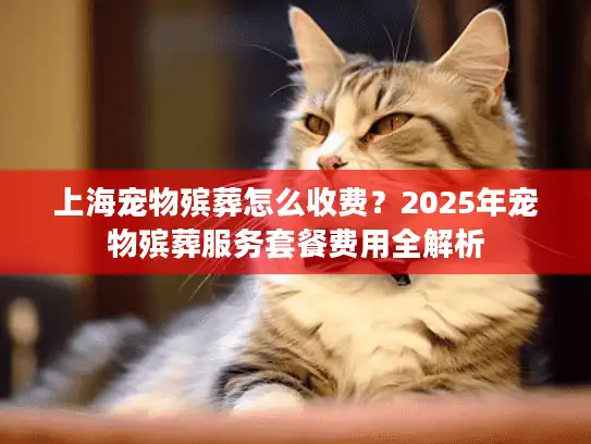 上海宠物殡葬怎么收费？2025年宠物殡葬服务套餐费用全解析