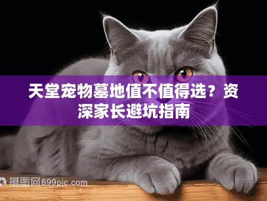 天堂宠物墓地值不值得选？资深家长避坑指南