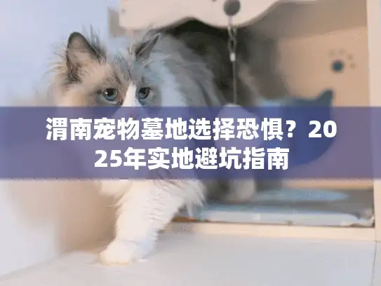 渭南宠物墓地选择恐惧？2025年实地避坑指南