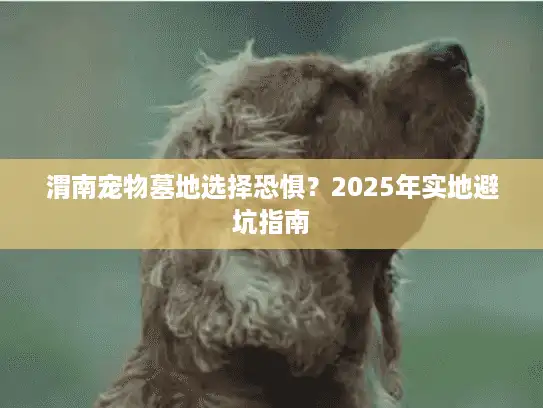 渭南宠物墓地选择恐惧？2025年实地避坑指南