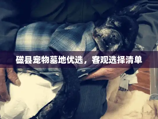磁县宠物墓地优选，客观选择清单
