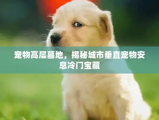 宠物高层墓地，揭秘城市垂直宠物安息冷门宝藏