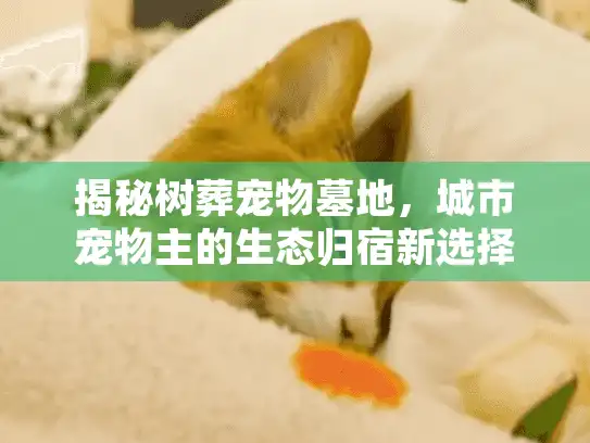 揭秘树葬宠物墓地，城市宠物主的生态归宿新选择
