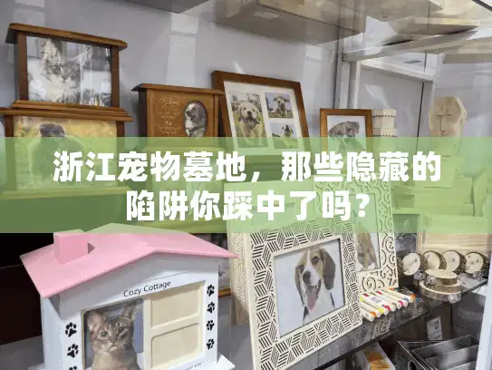 浙江宠物墓地，那些隐藏的陷阱你踩中了吗？