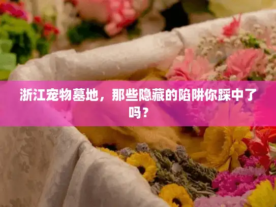 浙江宠物墓地，那些隐藏的陷阱你踩中了吗？