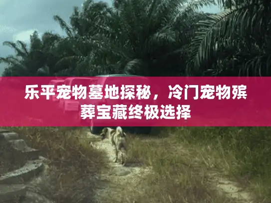 乐平宠物墓地探秘，冷门宠物殡葬宝藏终极选择
