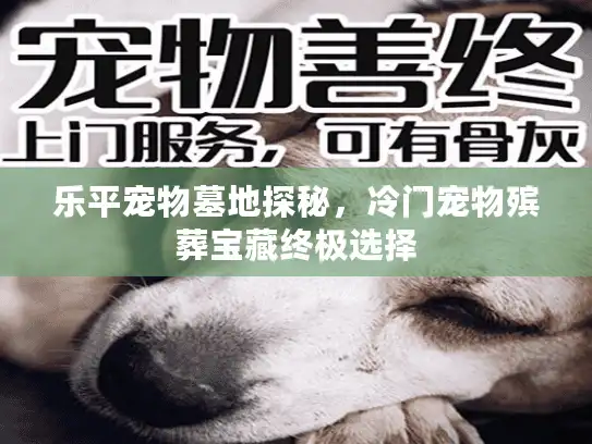 乐平宠物墓地探秘，冷门宠物殡葬宝藏终极选择