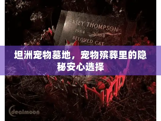 坦洲宠物墓地，宠物殡葬里的隐秘安心选择