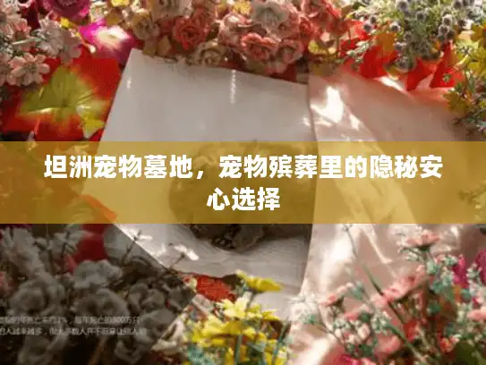 坦洲宠物墓地，宠物殡葬里的隐秘安心选择