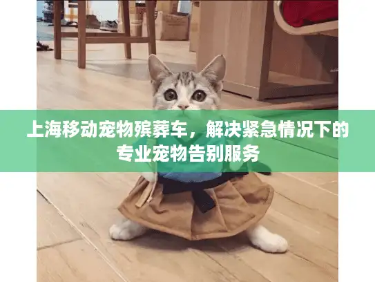 上海移动宠物殡葬车，解决紧急情况下的专业宠物告别服务