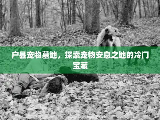 户县宠物墓地，探索宠物安息之地的冷门宝藏